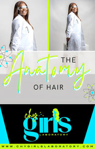 The Anatomy Of Hair